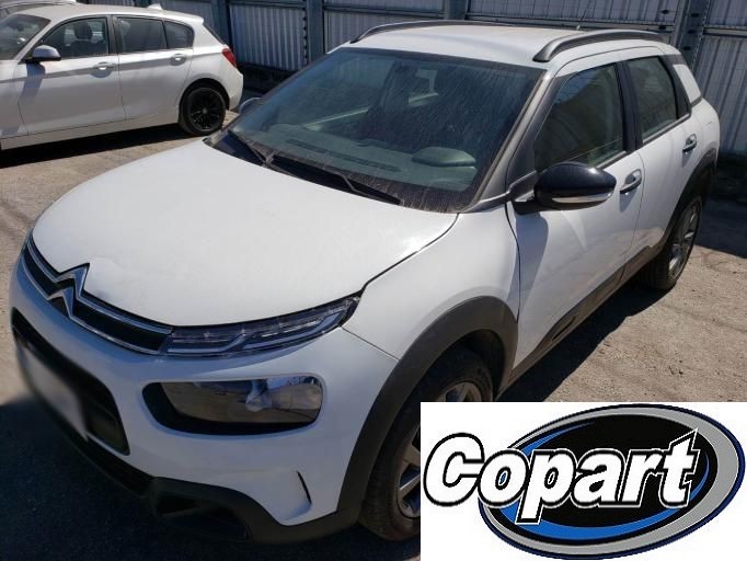 C4 CACTUS FEEL BUSINESS FEEL PACK